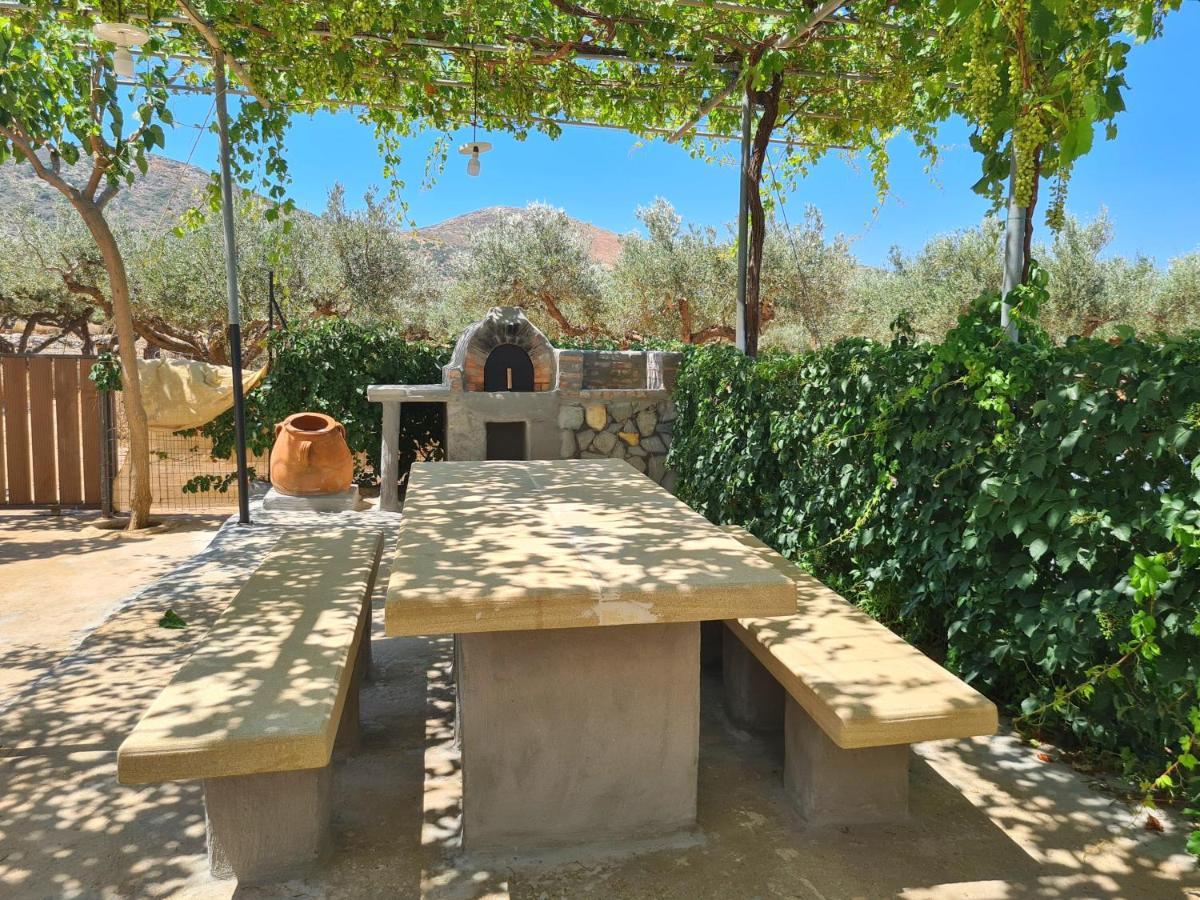 Pause Serenity House Into Olive Groves Villa Agios Fotios Ngoại thất bức ảnh