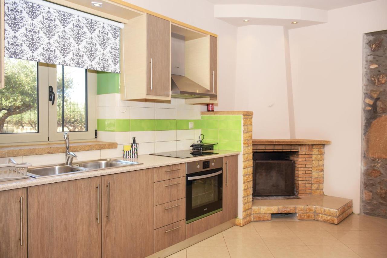 Pause Serenity House Into Olive Groves Villa Agios Fotios Ngoại thất bức ảnh