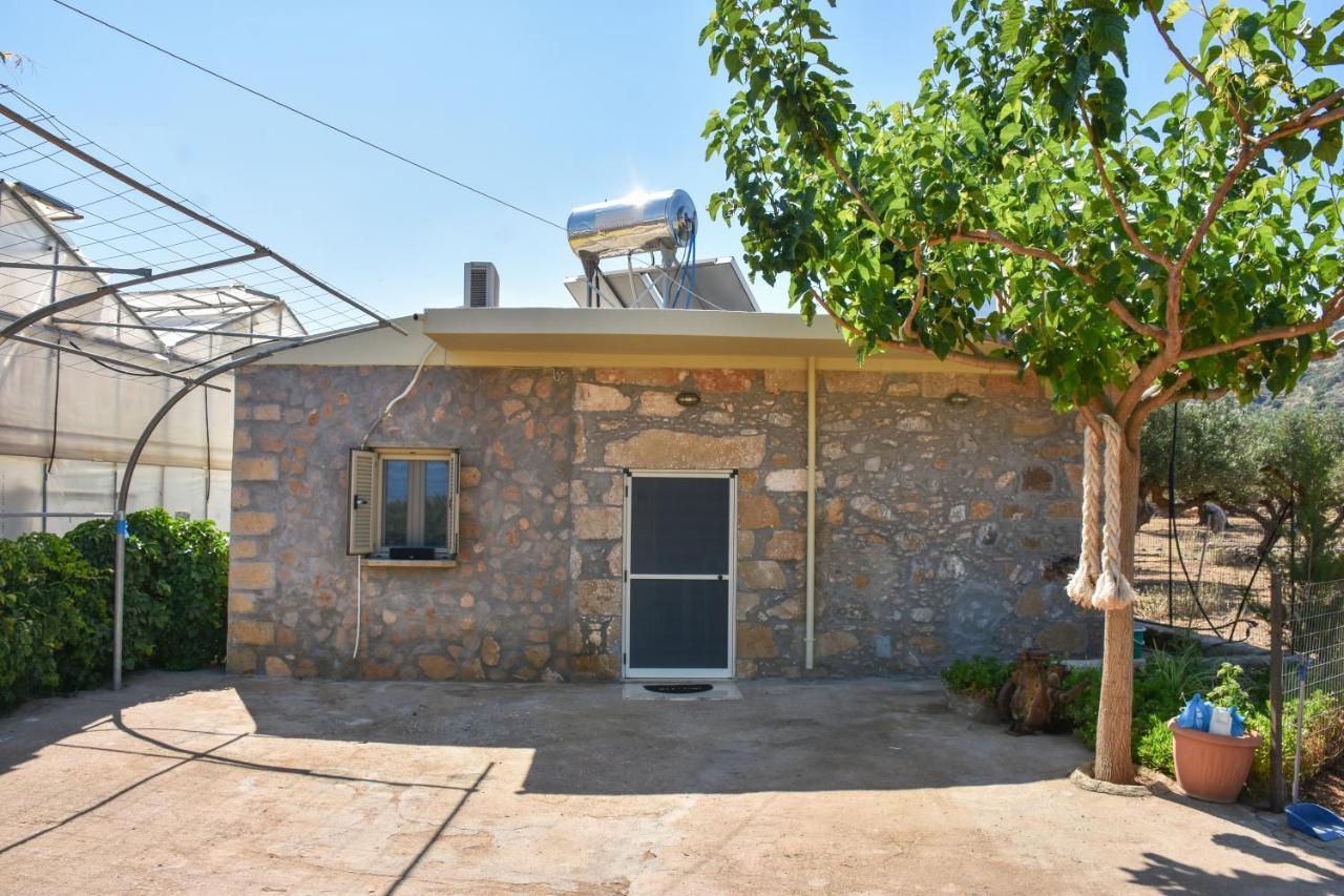 Pause Serenity House Into Olive Groves Villa Agios Fotios Ngoại thất bức ảnh