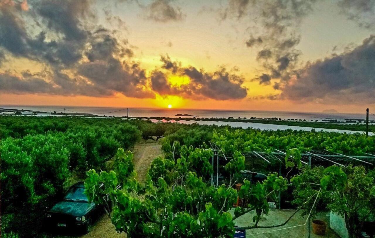 Pause Serenity House Into Olive Groves Villa Agios Fotios Ngoại thất bức ảnh